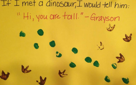 If I Met A Dinosaur...