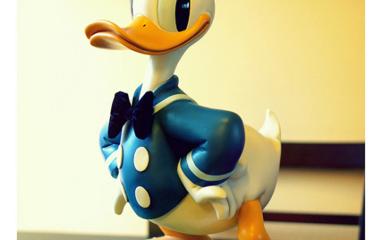 Donald The Duck